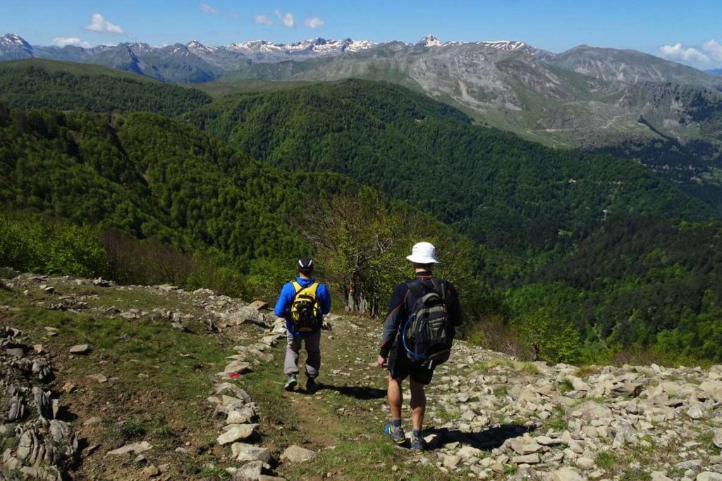 Ursa Trail Hiking paths & Trail Running around Metsovo, Epirus, Greece